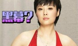 袁立爆料黑幕视频,真相与反思